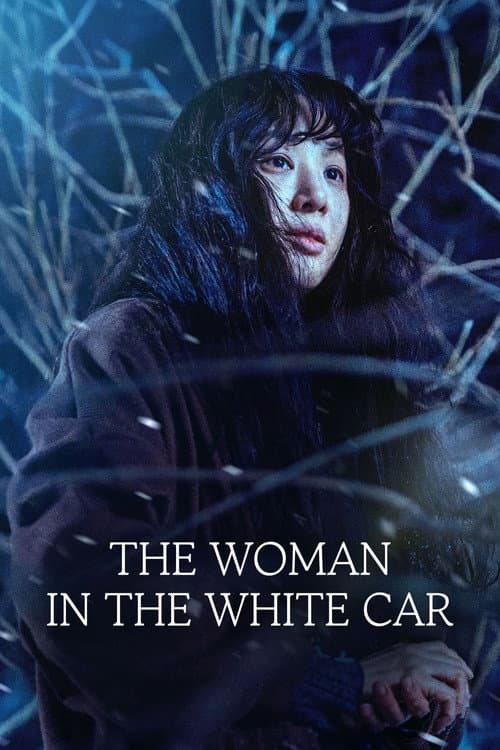 The Woman in the White Car poster