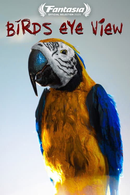Bird's Eye View poster