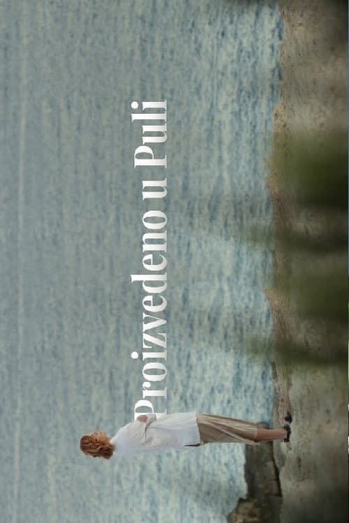 Made in Pula poster