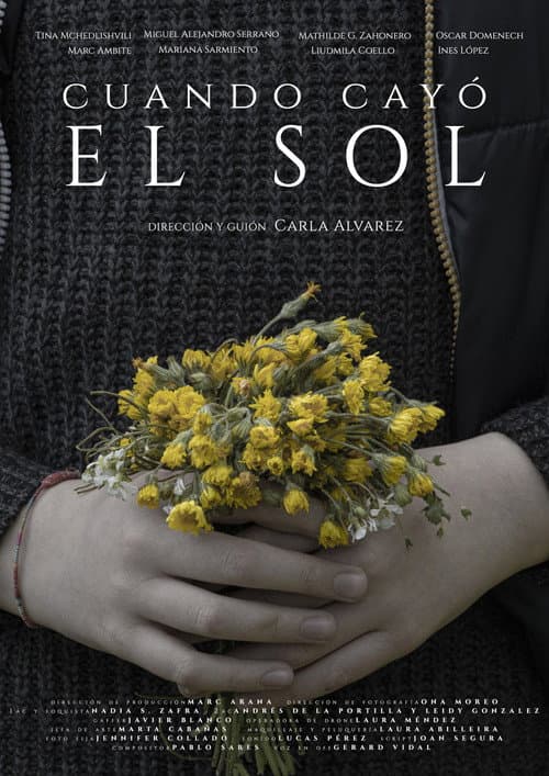 Cuando cayó el sol poster