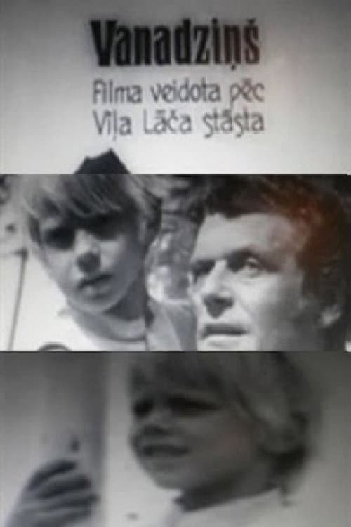 Little Hawk poster