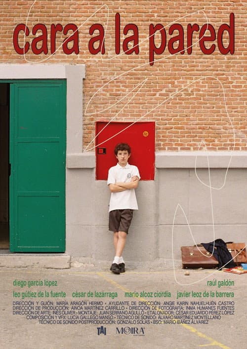 Cara a la pared poster