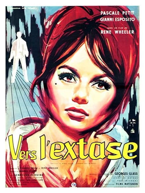 Towards Ecstasy poster