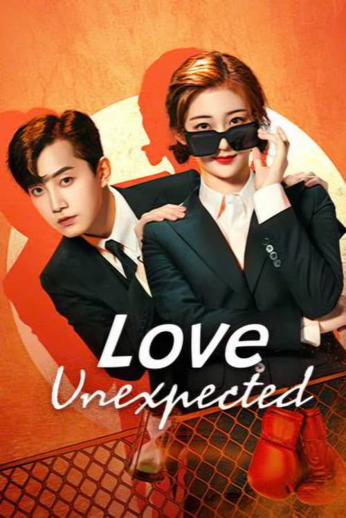 Love Unexpected poster