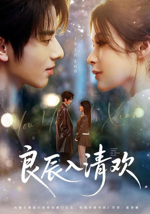 良辰入清欢 poster