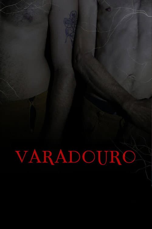 Varadouro poster