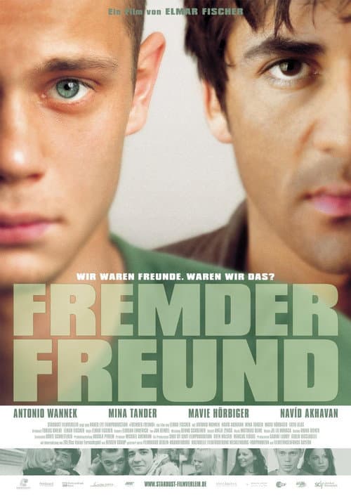 The Friend poster