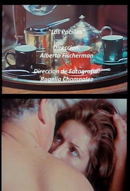 Los pocillos poster