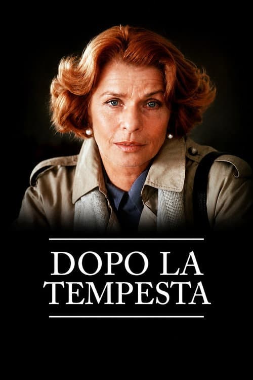 Dopo la tempesta poster
