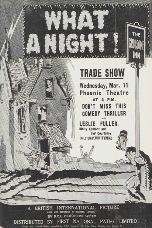 What a Night! poster