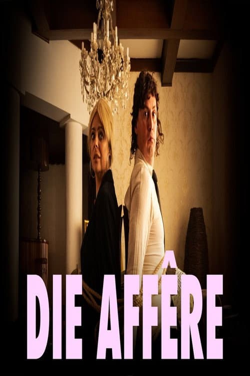 The Affair poster