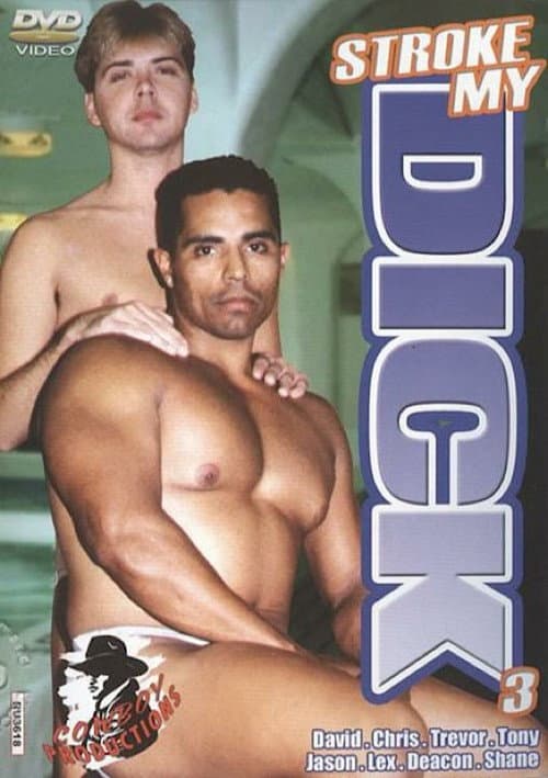 Stroke My Dick 3 poster