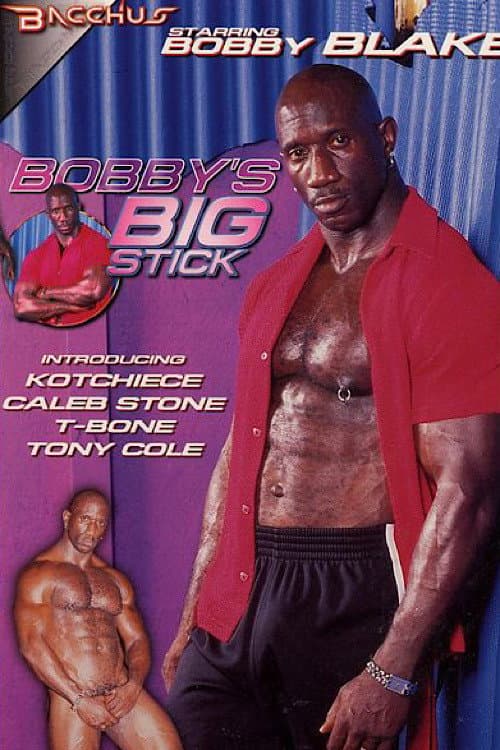 Bobby's Big Stick poster