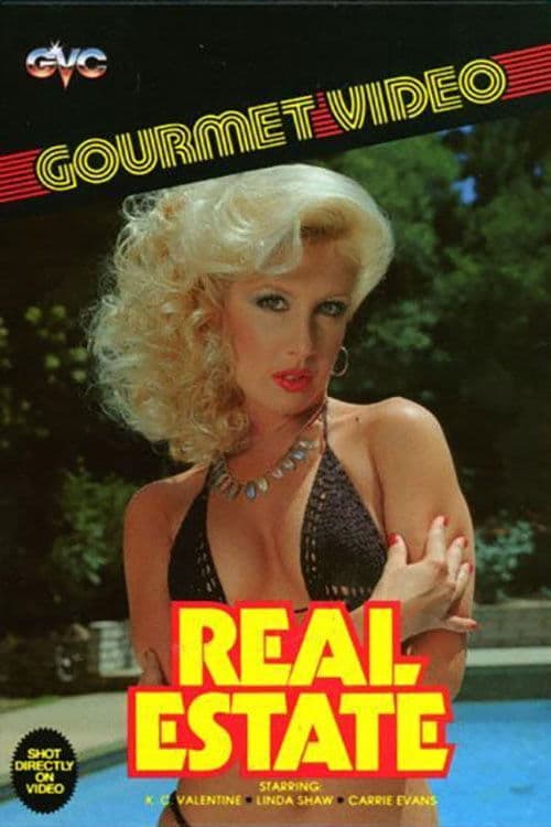 Real Estate poster