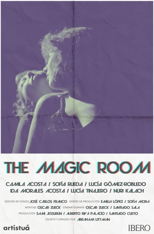 The Magic Room poster