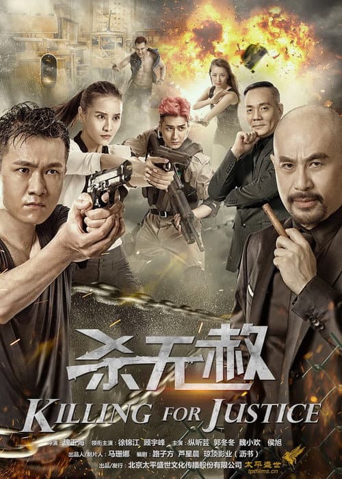 Killing For Justice poster