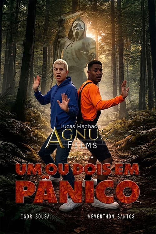 Um ou Dois em Pânico poster