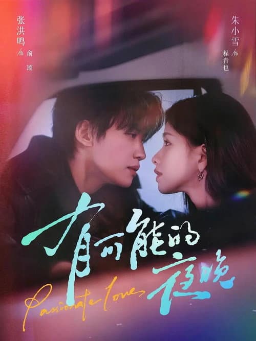 有可能的夜晚 poster
