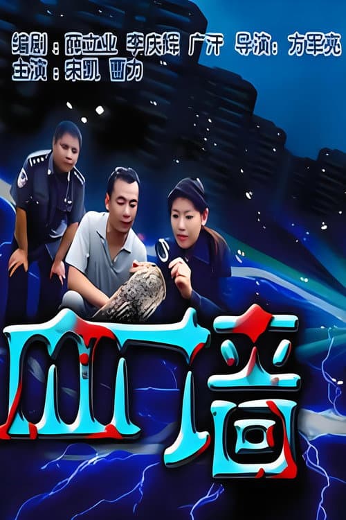 血墙 poster