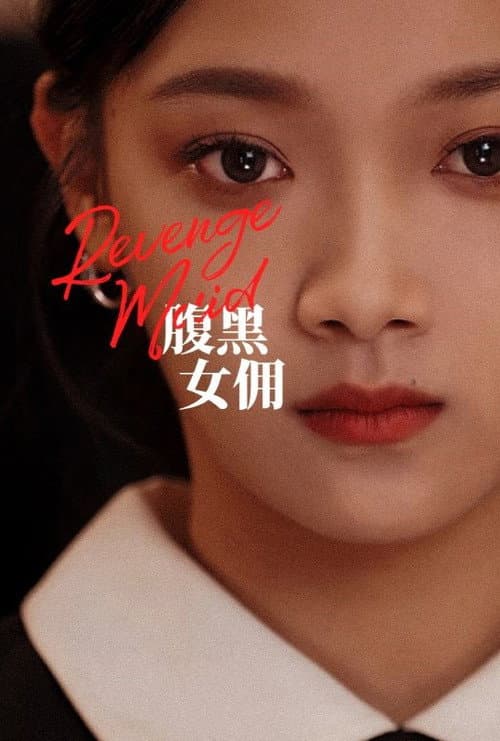 Revenge Maid poster