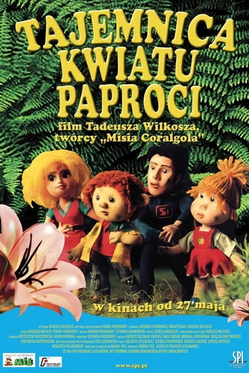 The Secret of Fern Flowers poster