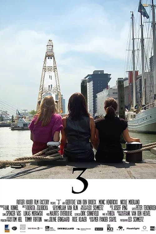 3 poster