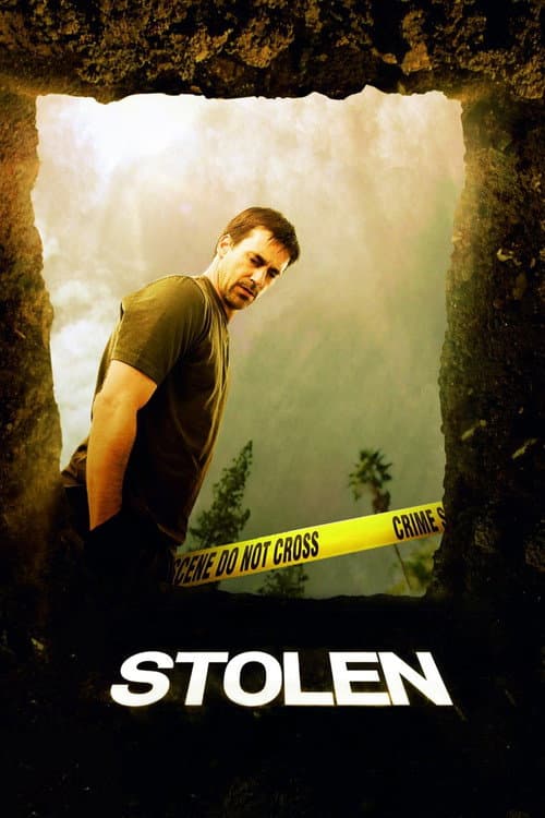 Stolen poster