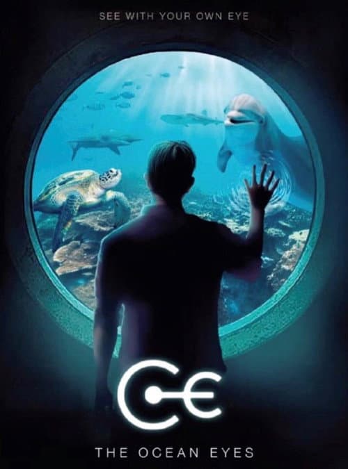 The Ocean Eyes poster