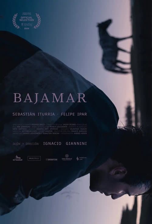 Bajamar poster