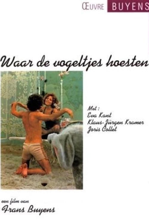 Waar de vogeltjes hoesten poster