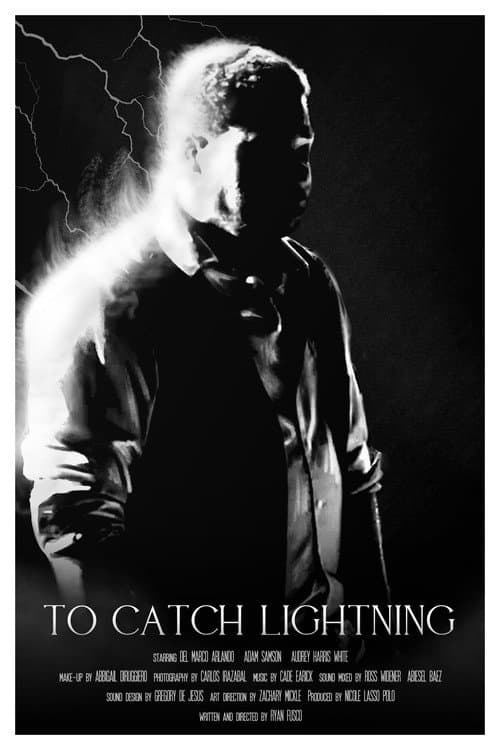 To Catch Lightning poster