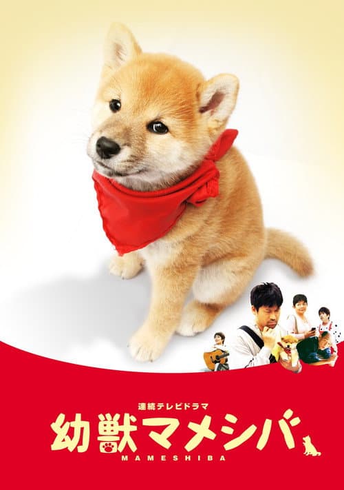 Mameshiba Cubbish Puppy poster