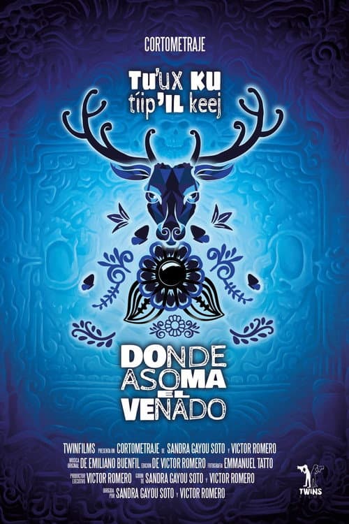 Tu’ uxkutíip’ ilkéej poster