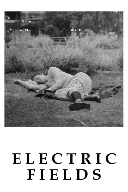 Electric Fields poster