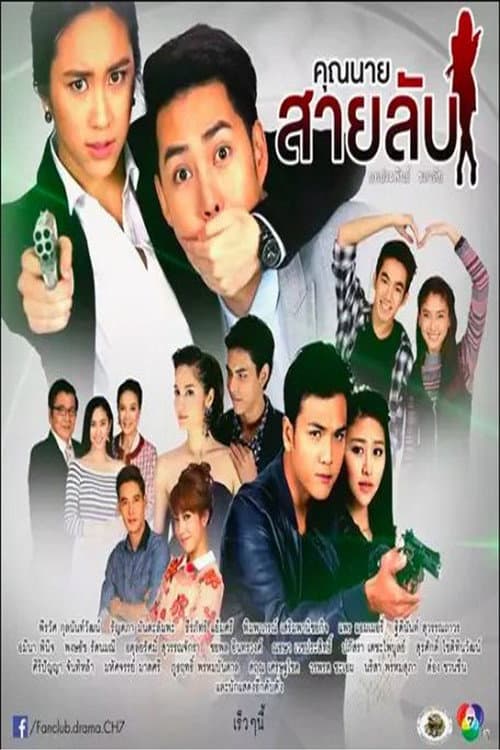 Mrs. Spy poster