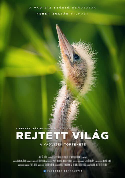 Hidden World: The Story of Hungary's Wild Waters poster