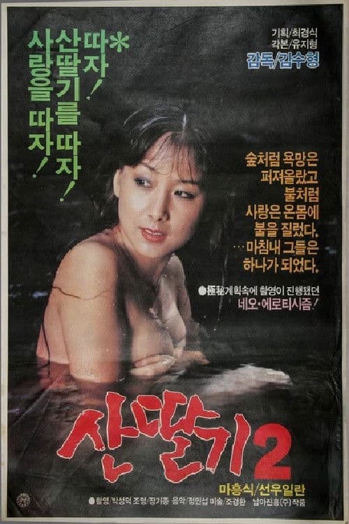 Mountain Strawberries 2 poster