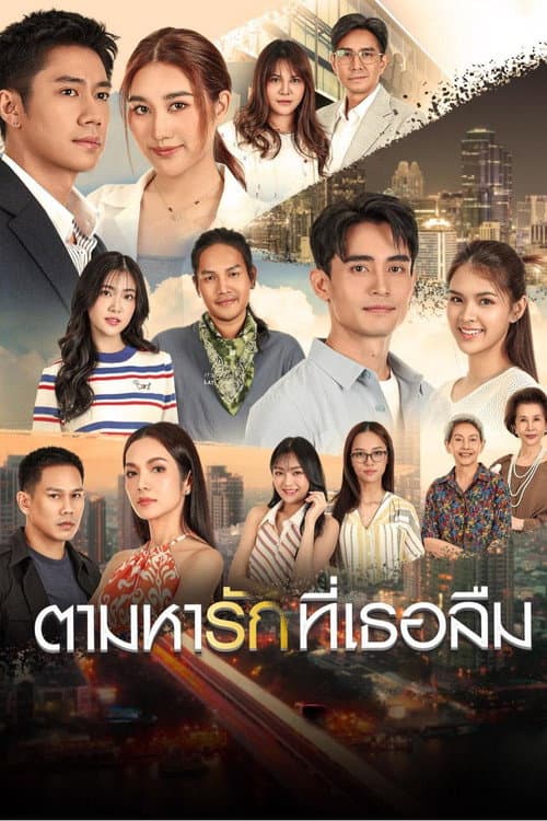Searching for the Love You Forgot poster