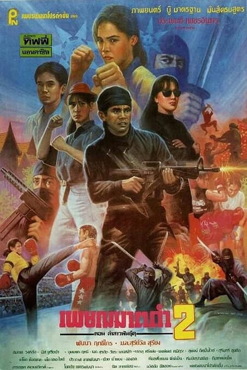 Black Executioner 2 poster
