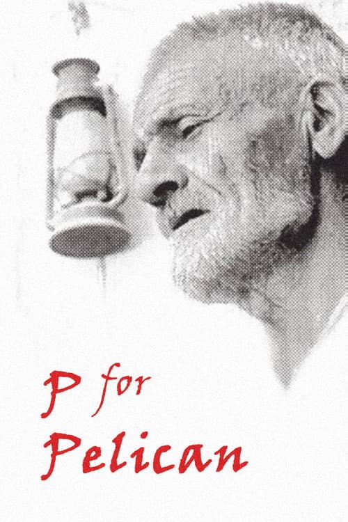 P for Pelican poster