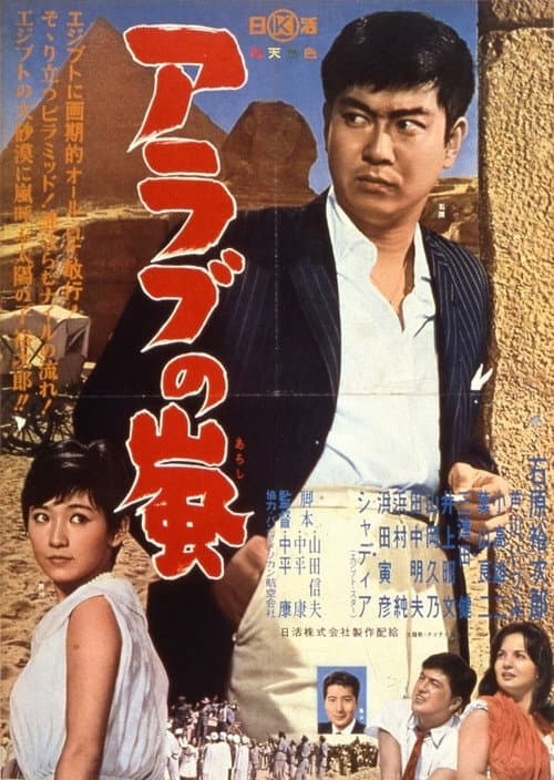 The Storm over Arabia poster