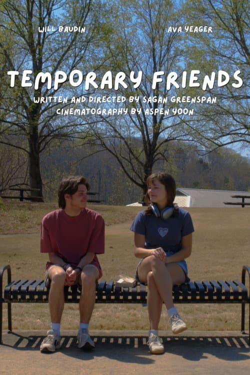 Temporary Friends poster