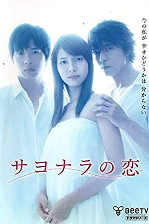 Goodbye Love poster