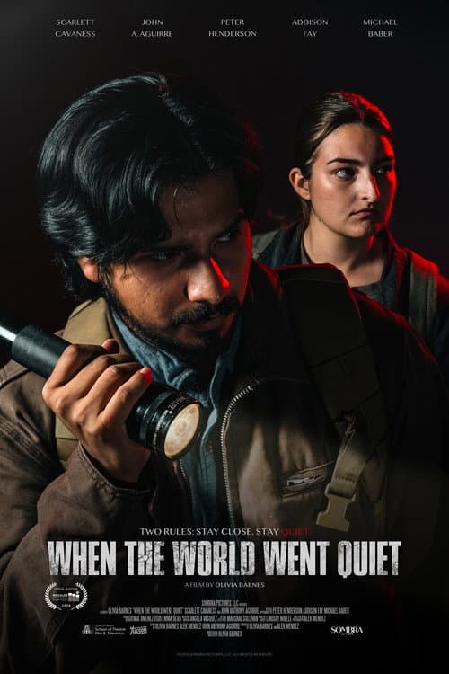 When the World Went Quiet poster