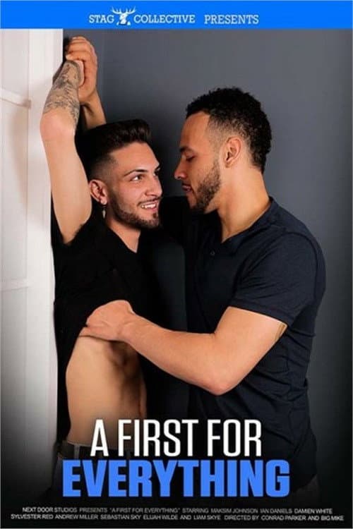 A First For Everything poster