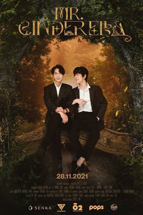 Mr. Cinderella poster