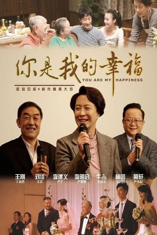你是我的幸福 poster