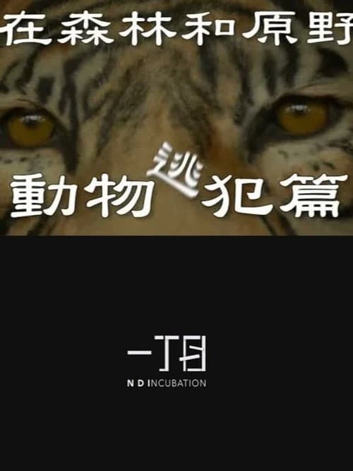 In the Forest and the Wilderness—The Animal Fugitives poster