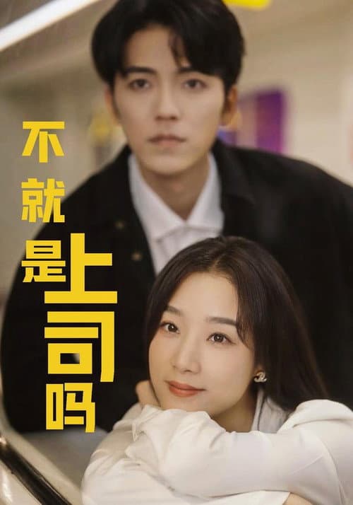 不就是上司吗 poster