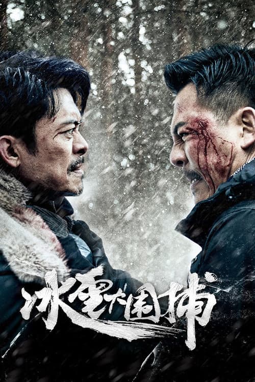Snowstorm poster